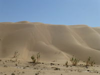 Sanddnen in der Rub al-Khali, der gren Sandwste der Welt