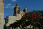 Oaxaca: Kirche Santo Domingo
