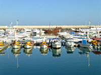 Muscat: Marina Bandar Rowdah