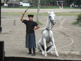 Vorführung der Pferdehirten Csikós