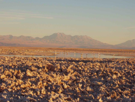 Sonnenuntergang am Salar de Atacama