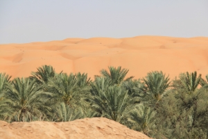 Oman: Wüste