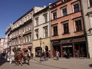Kutschfahrten durch die Ulica Grodzka nahe dem Marktplatz